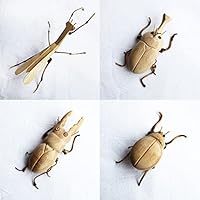 オータニ昆虫館　カマキリダーター オータニ昆虫館 カマキリダーター オータニ昆虫館 カマキリダーター